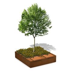 Chậu trồng mô-đun thép Corten trang trí