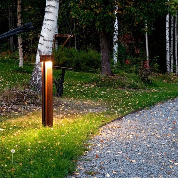 light (2)