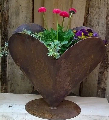 Cần bán chậu cây lớn